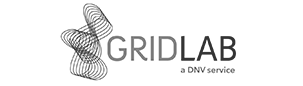 DNV-gridlab_grau